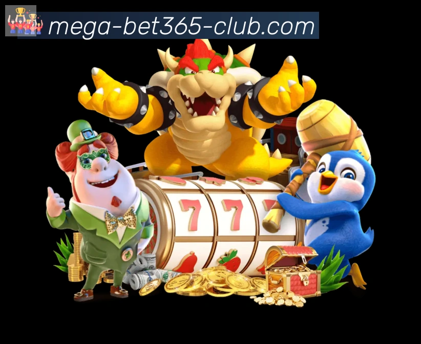bet365在线体育APP 封面图