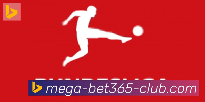 bet365在线体育合作伙伴