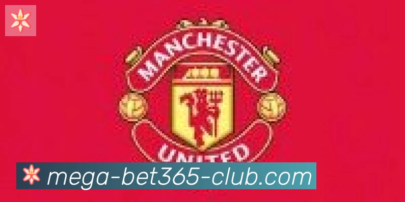 bet365在线体育合作伙伴
